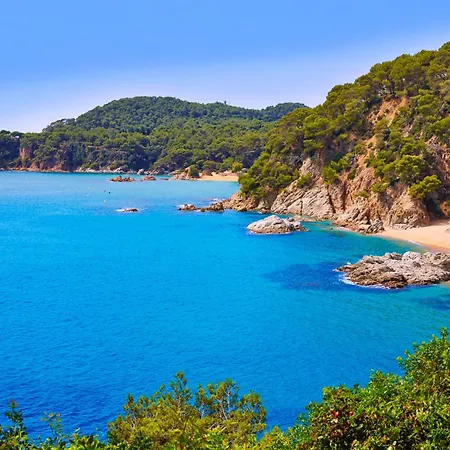 Senyera By Interhome Lloret de Mar